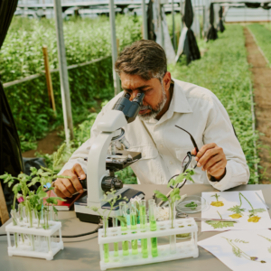 Climate Resilient Farming Systems