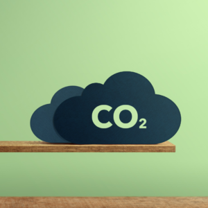 Soil Carbon Sequestration